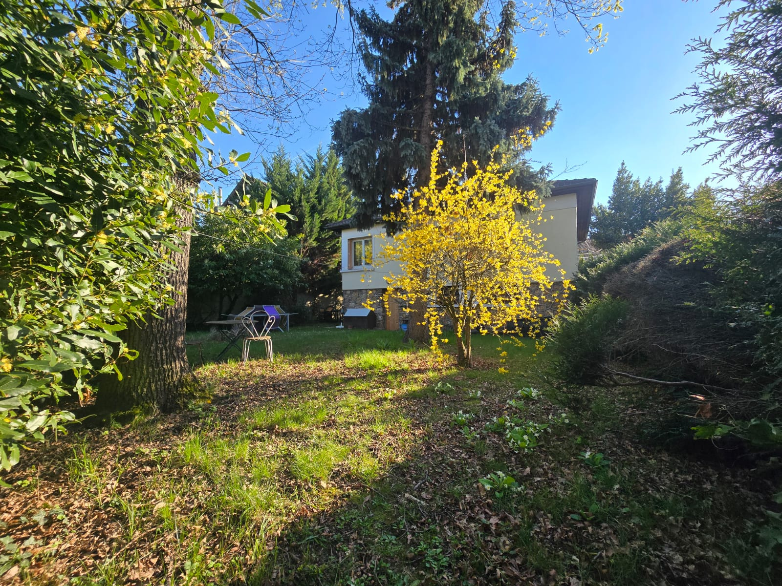 Image_, Maison, Les Pavillons-sous-Bois, ref :DVPSB290