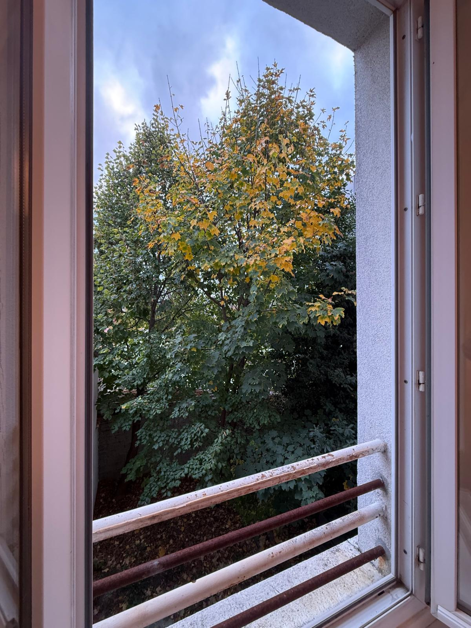 Image_, Appartement, Le Raincy, ref :LLR875